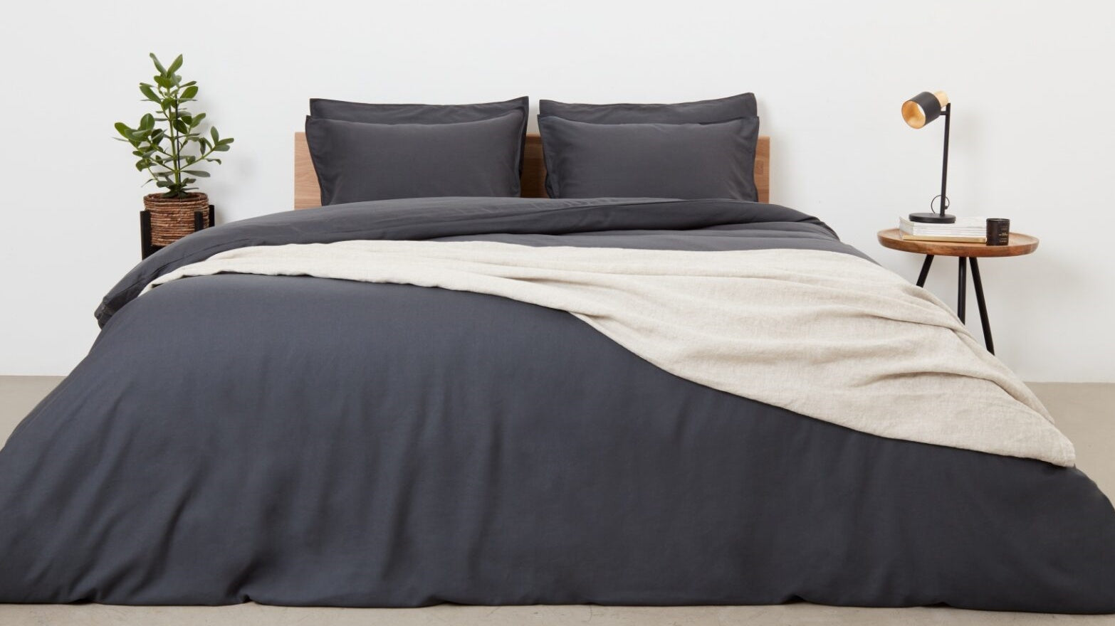 Modern bedroom setup featuring dark bedding, decorative throw, and a bedside plant and lamp.