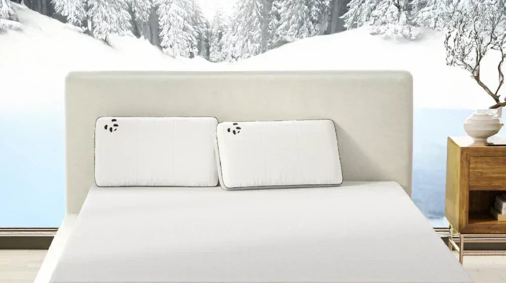 Frosty Pillow Talk: How to Choose the Best Winter Bedding