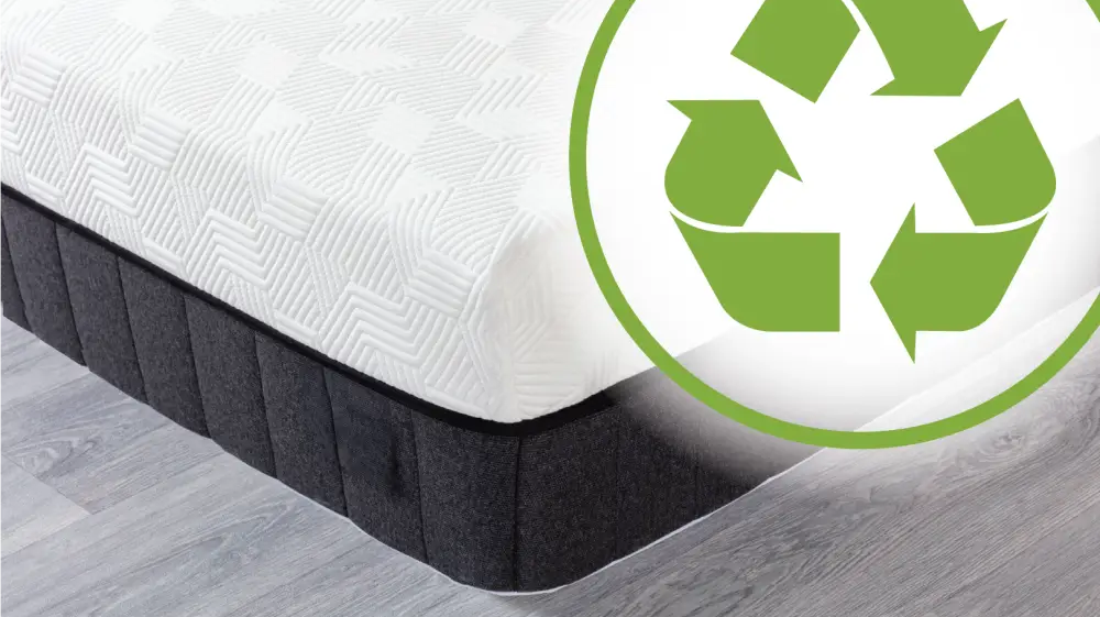 Global Recycling Day: How Panda's Circle of Life Initiative Reduces Waste