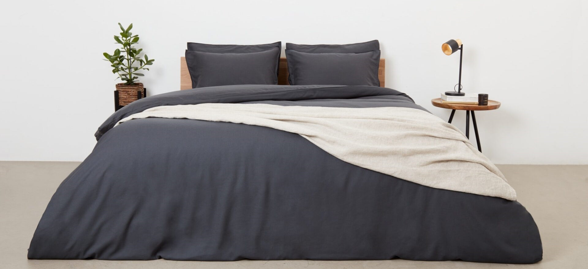 Modern bedroom setup featuring dark bedding, decorative throw, and a bedside plant and lamp.