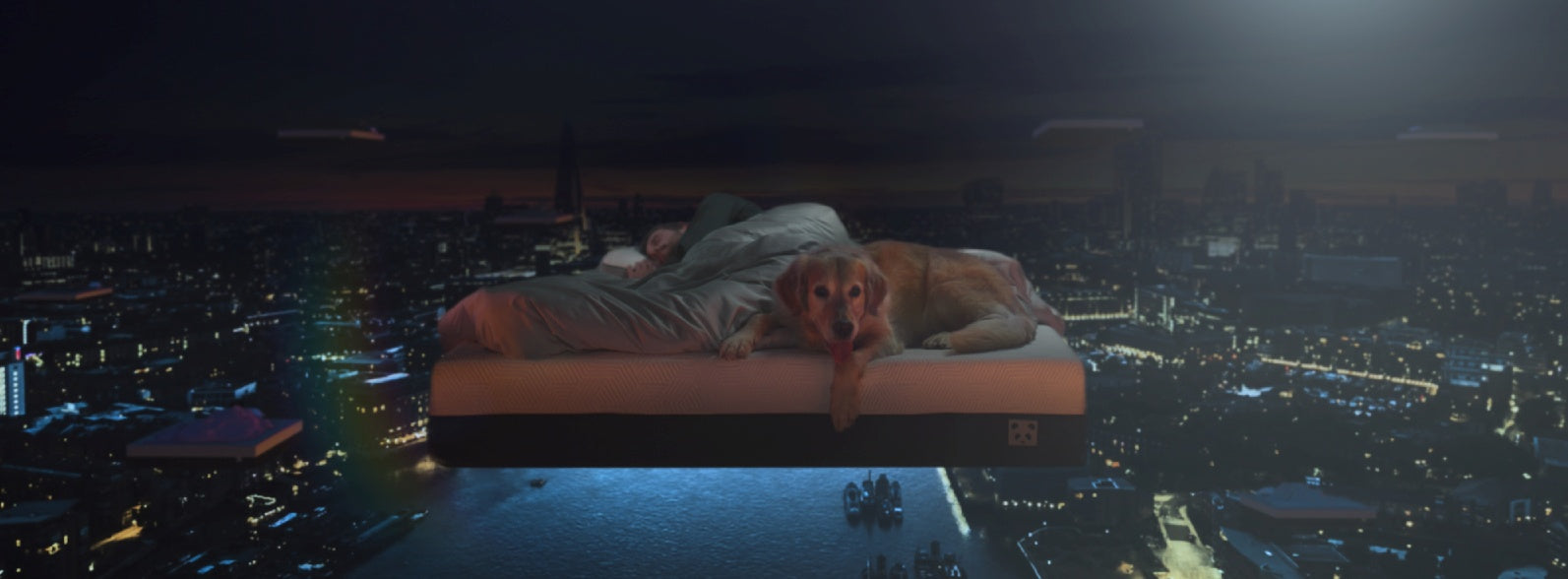 Person sleeping on a bed with a dog, overlooking a nighttime cityscape from above.