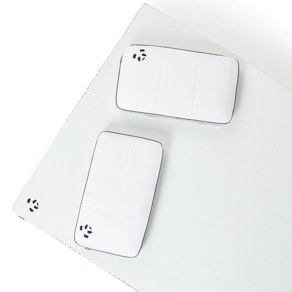 Hybrid Bamboo Mattress Topper with two Hybrid Bamboo Pillows 