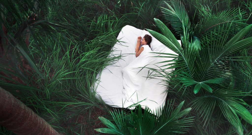 bed in forest