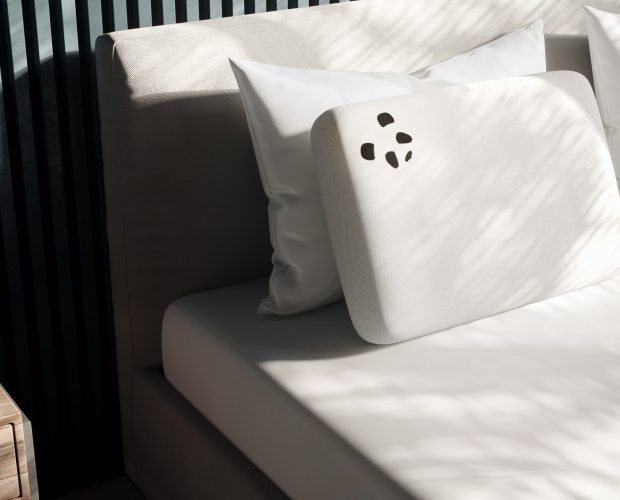 Panda Pillow on the bed