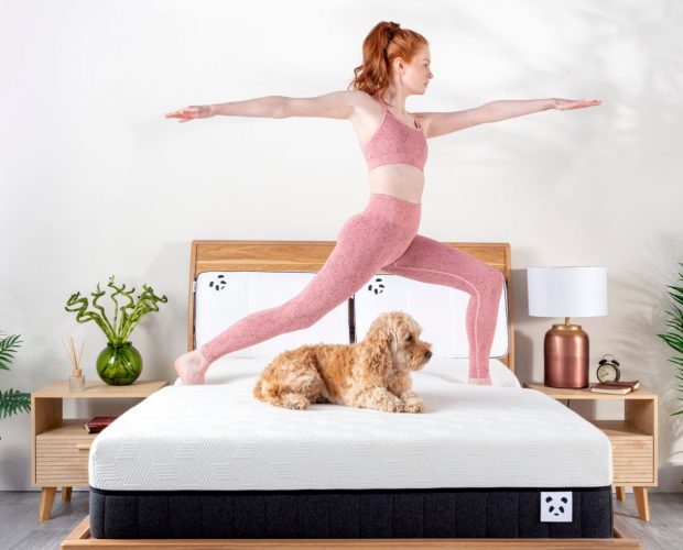 woman and a dog on a bamboo hybrid mattress