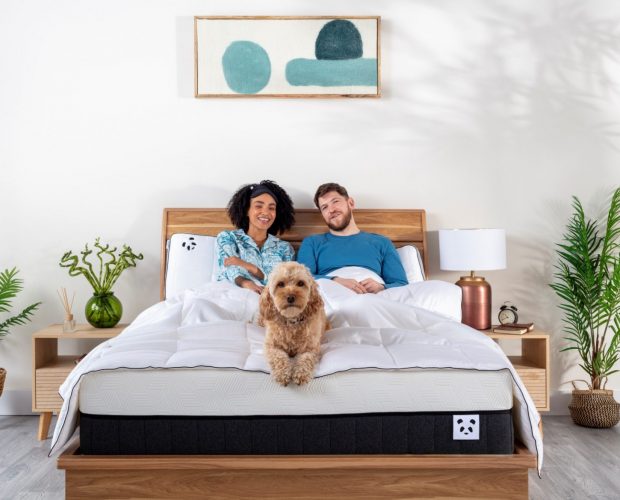 couple laying with a dog on a hybrid mattress