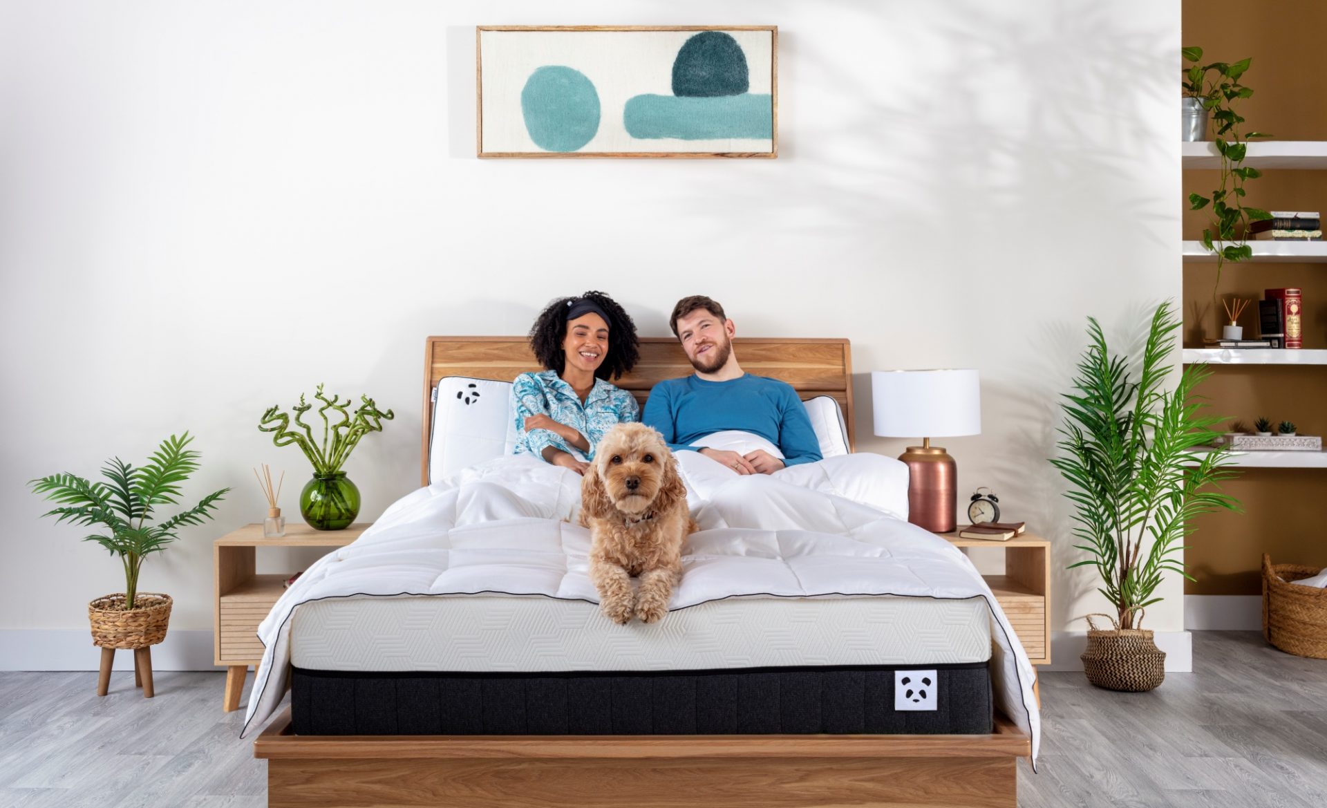 couple laying with a dog on a hybrid mattress