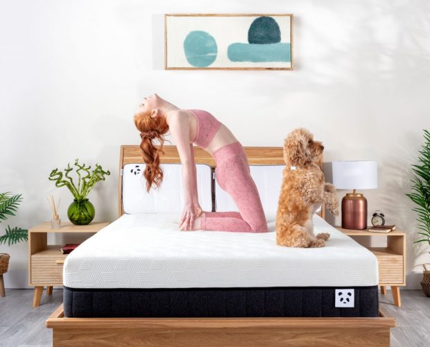girl streching with a dog on the hybrid bamboo mattress