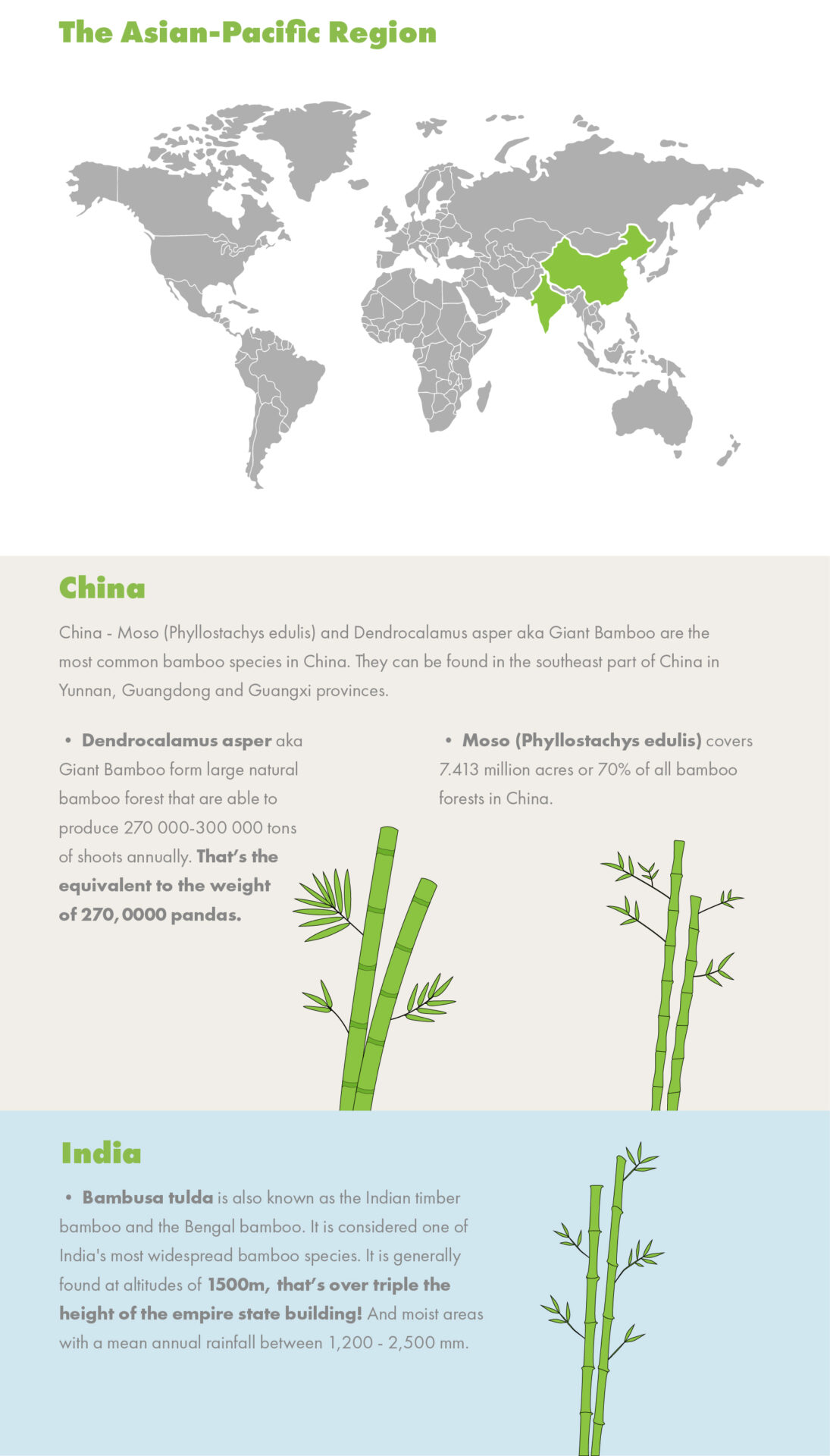 Bamboo Infographics Asia