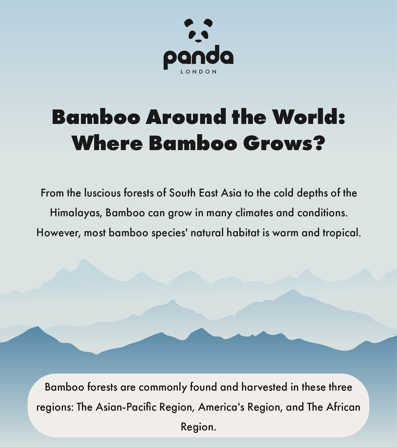 Bamboo Infographics